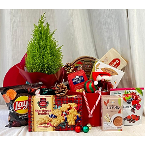 X2011 聖誕精選禮盒